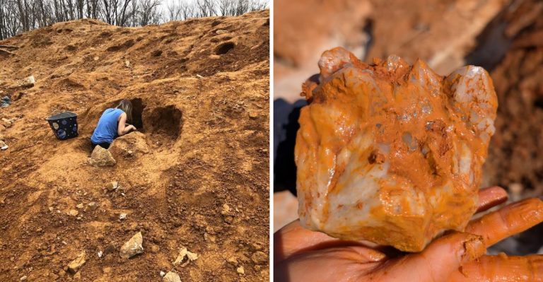 This Hidden Mine In South Carolina Lets You Hunt For Real Gems