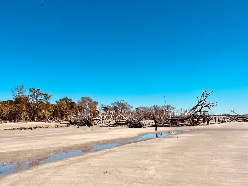 The Legend Of B Oneyard B Each