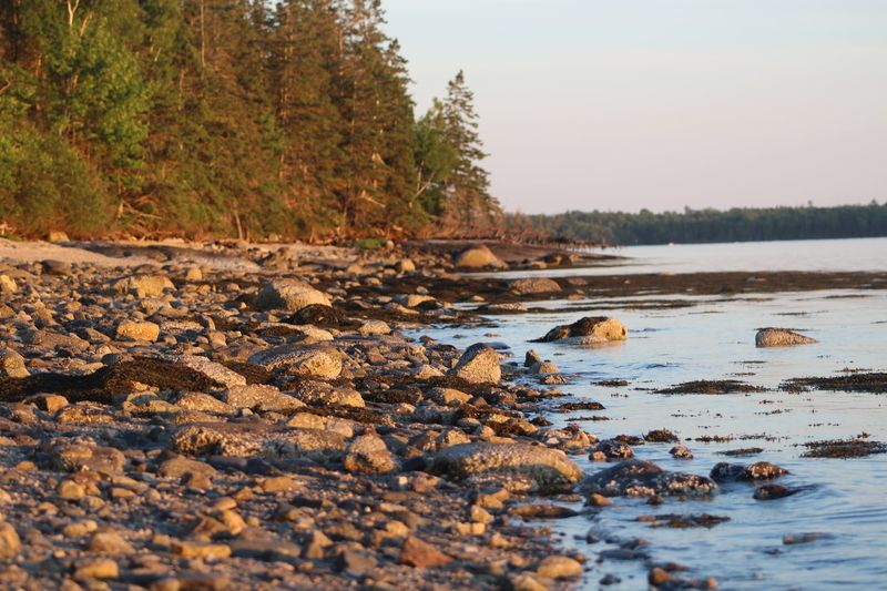 The Setting That Stops You In Your Tracks