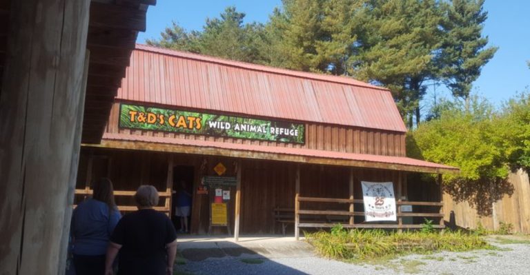 This Hidden Pennsylvania Sanctuary Has Turned Into A Big Cat Refuge