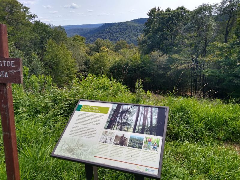 The Address Places It Deep in Potter County