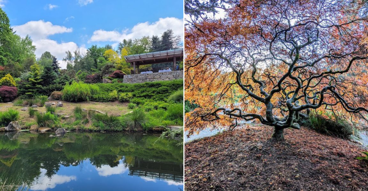 This Hidden Seattle Garden Is A Peaceful Washington Escape You Might Have Overlooked