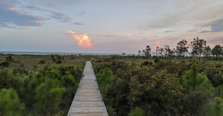 This Hidden Slice Of Heaven Near Port St. Joe, Florida Is Still Flying Under The Radar