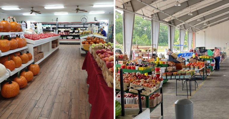 This Hidden South Carolina Berry Farm Is Hiding Some Of The Sweetest Summer Flavors