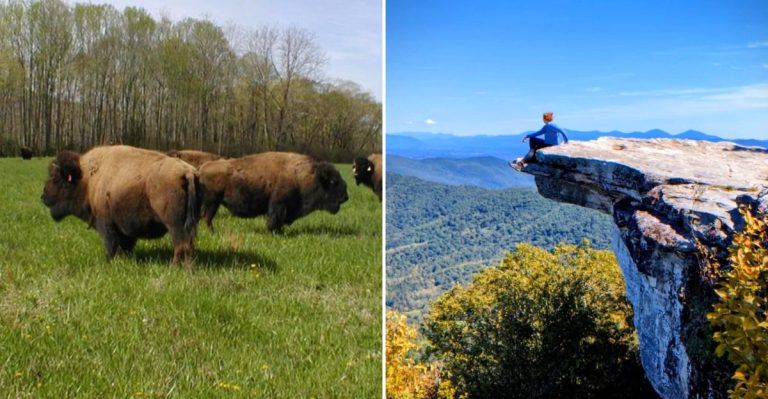 This Hidden Virginia Mountain Town Is So Underrated, Even Most Virginians Haven’t Discovered It
