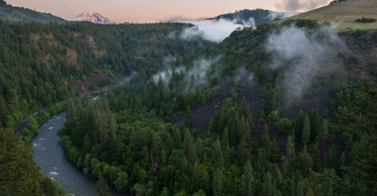 This Hidden Washington Canyon Oasis Looks Like It Belongs On Another Planet