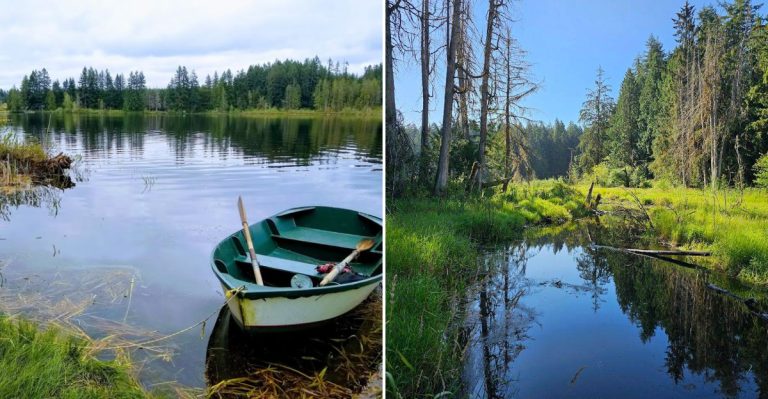 This Hidden Washington Water Park Lets You Swim, Paddle, And Camp All Weekend