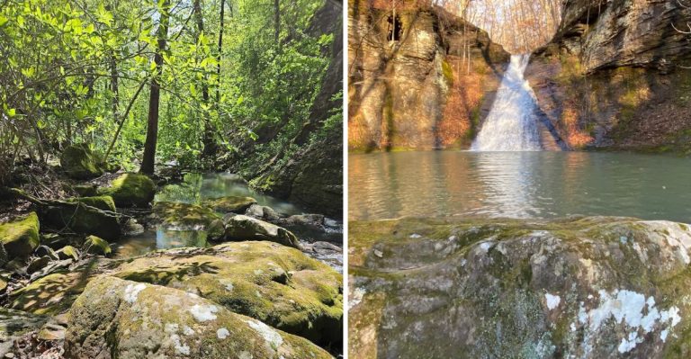 This Hidden Waterfall Trail In Arkansas Leads To A Magical Forest Pool