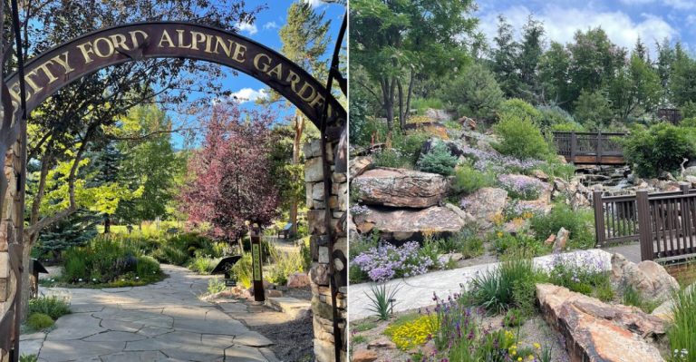 This High-Altitude Botanical Paradise In Vail, Colorado Has More Than 3,000 Plant Species You Can Explore