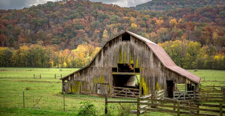 This Historic Arkansas Valley Is Where Pioneer Legacies And Wild Elk Herds Roam