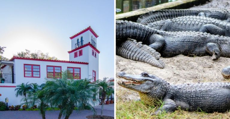 This Historic Florida Zoo Feels Like A Tropical Wildlife World Hidden In St. Augustine