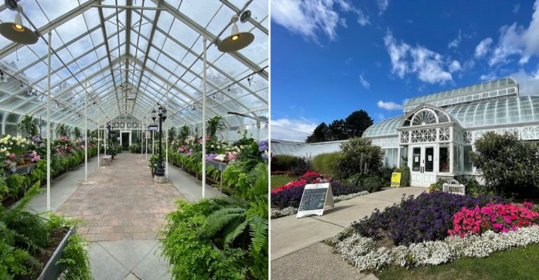 This Historic Washington Greenhouse Feels Like A Living Jewel Box Filled With Tropical Wonders
