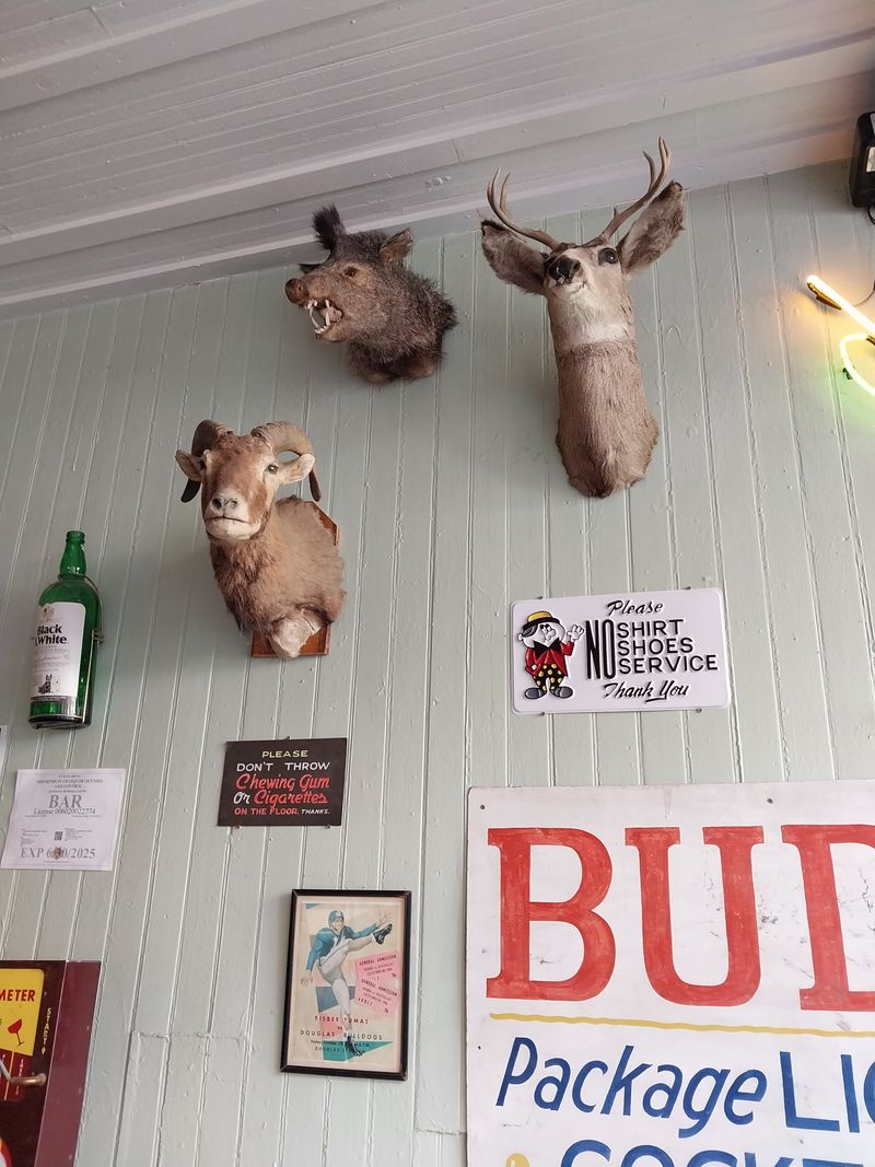 A Step Back In Time With Vintage Decor That Tells Stories