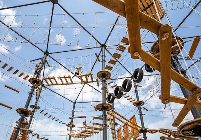 This Illinois Adventure Park Is Made For Anyone Craving A Big Summer Thrill