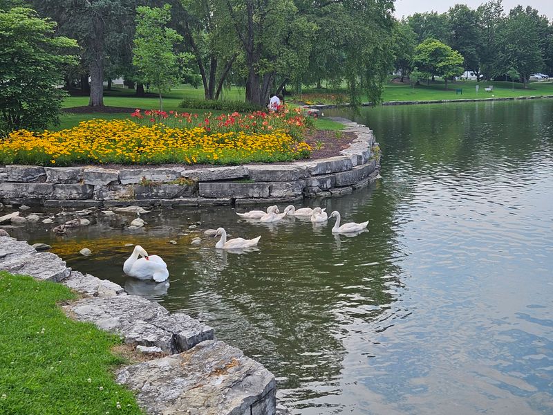 Water, Birds, And The Hush Of Green
