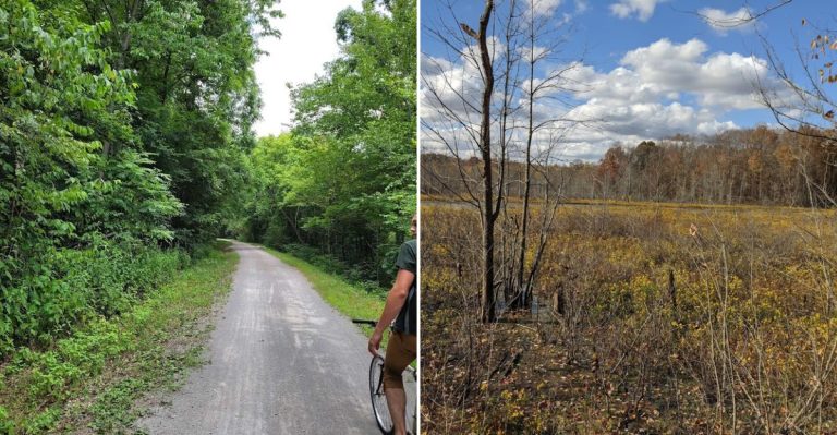 This Illinois Bike Trail With Woods, Meadows, And Sweet Stops Is Perfect For A May Ride