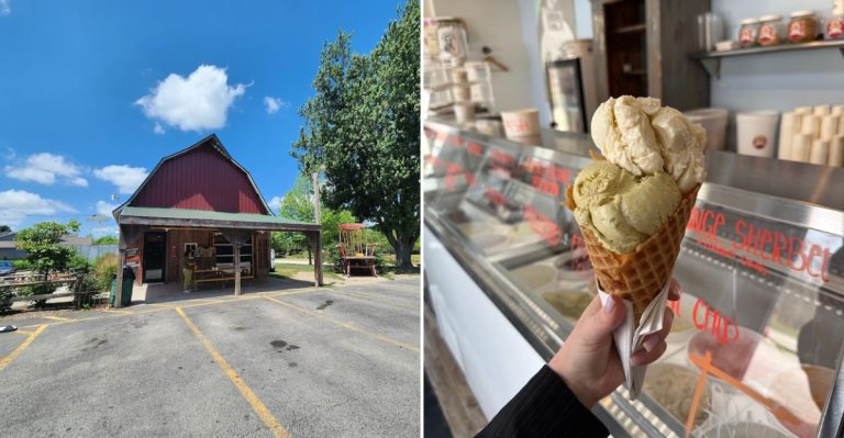 This Illinois Farm Is Famous For Its Rich, Creamy Ice Cream You Have To Try