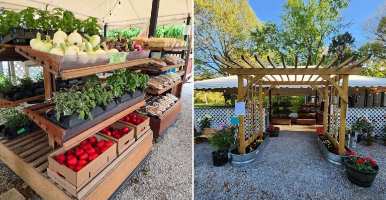 This Illinois Farm Market Is A Fresh July Stop Worth Repeating