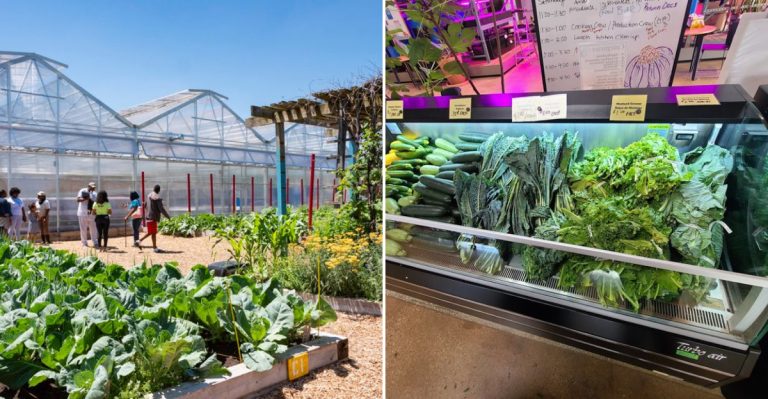 This Illinois Farm Market Turns A Dreary April Day Into Spring