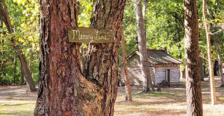 This Illinois Historic Village Feels Like Stepping Into The 1800s