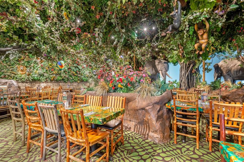 The Jungle Atmosphere 