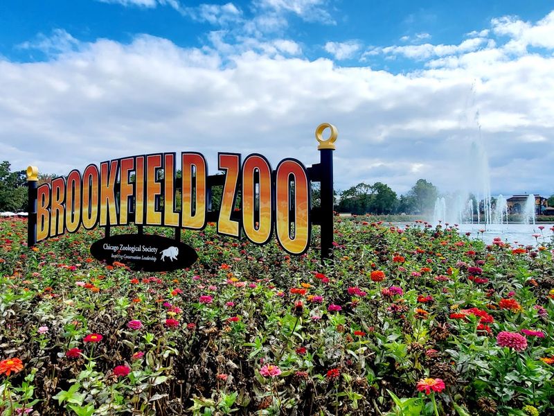 A Bright New Era At Brookfield Zoo