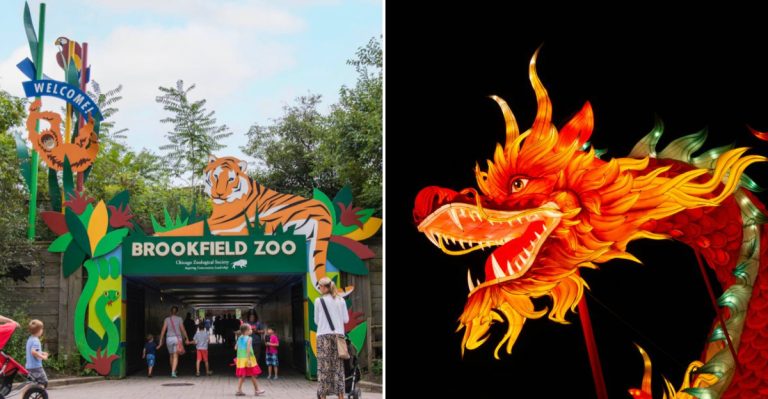 This Illinois Lantern Festival Will Light Up Spring Nights In 2026