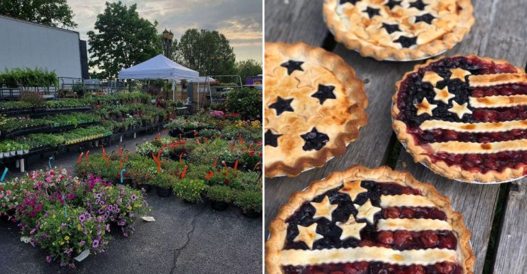 This Illinois Market Feels Like Discovering A Little Piece Of The French Countryside