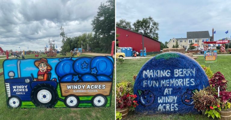 This Illinois Massive Blueberry Festival Near Chicago Is The Sweetest Day Trip Of The Summer