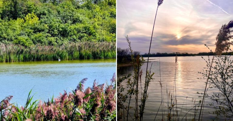 This Illinois Nature Preserve Attracts Photographers From Around The Region During Nesting Season
