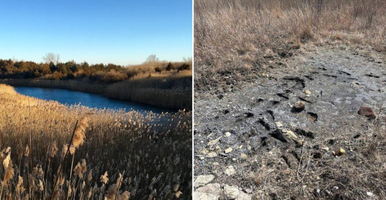 This Illinois Park Is One Of The Best Places To Search For Ancient Fossils