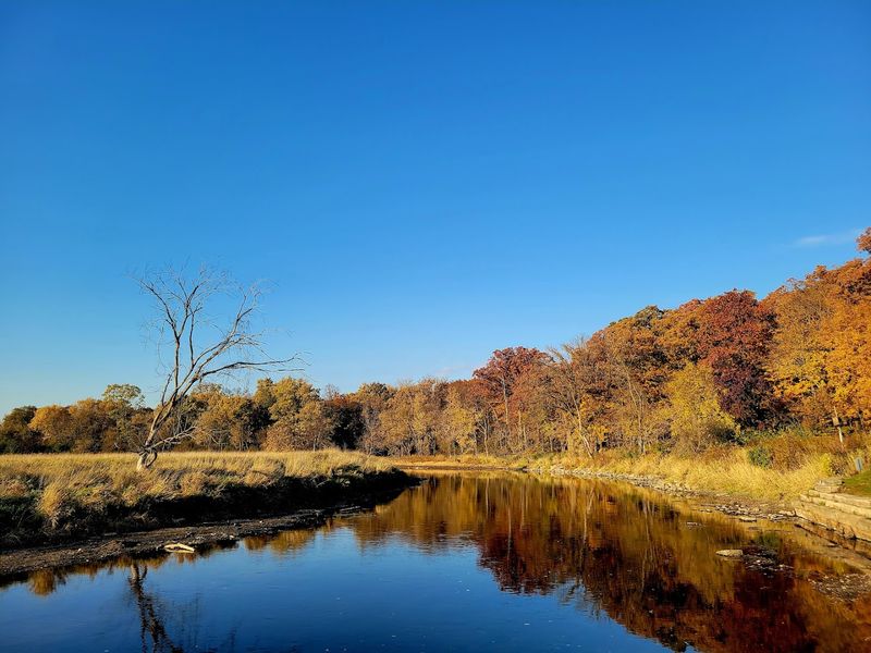 A Quiet River Escape