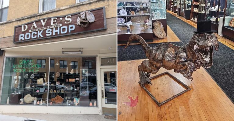 This Illinois Shop Has A Secret Underground Dinosaur Museum You’d Never Expect