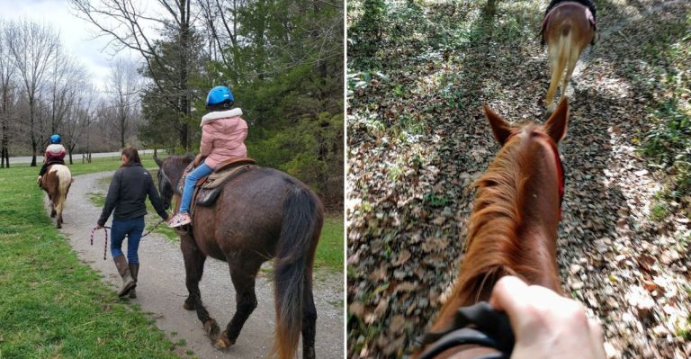 This Illinois Stable Offers Trail Rides You Should Absolutely Try This May