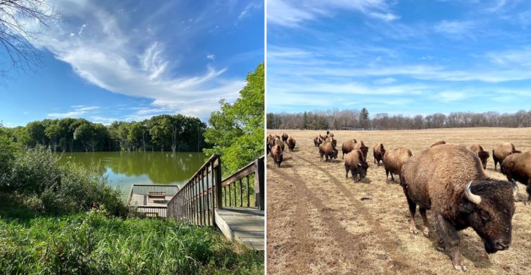 This Illinois Summer Destination Belongs On Every Family’s Day Trip List