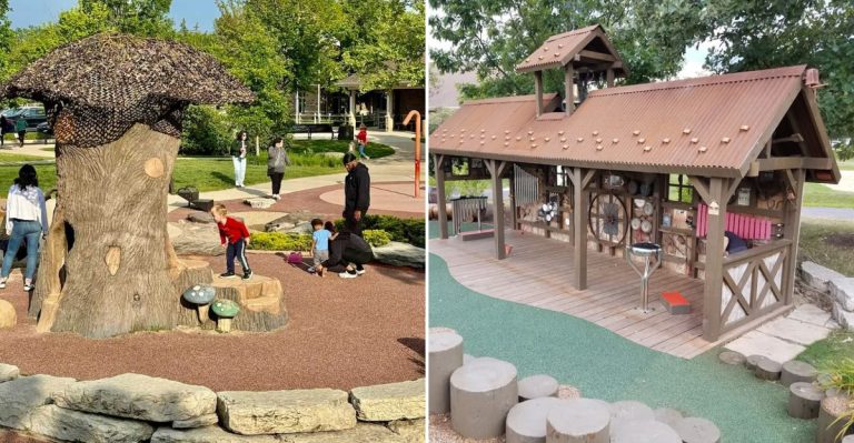 This Incredible Playground In Illinois Is Perfect For A Family Day Out