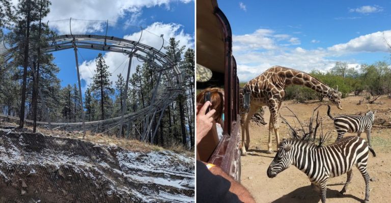 This Insanely Fun Arizona Road Trip Will Take You To 10 Hidden Theme Parks