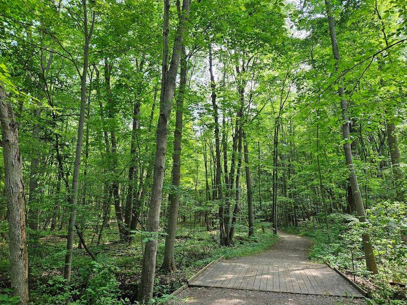 This Is A Park For Walkers Who Like Decisions