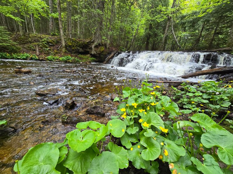 Chapel Basin Trailhead Start