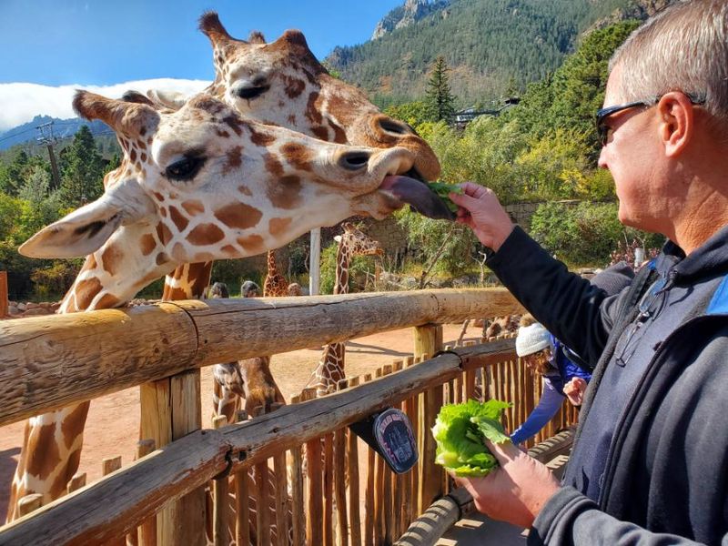 Decision Made Before Breakfast