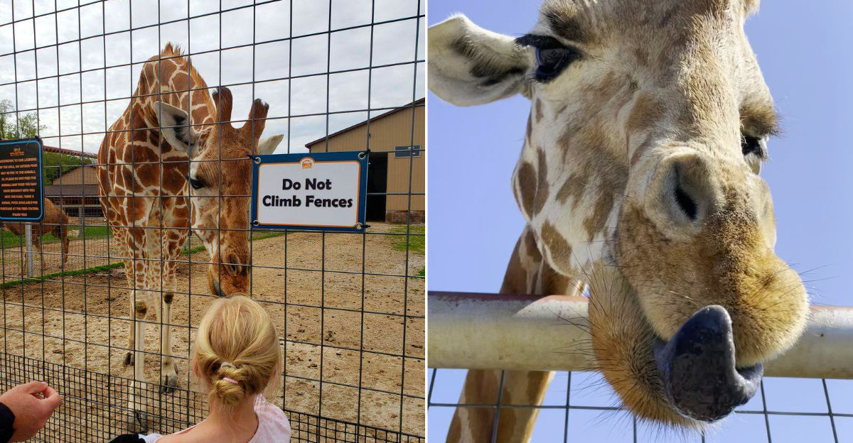 An Exotic "Safari" In West Michigan