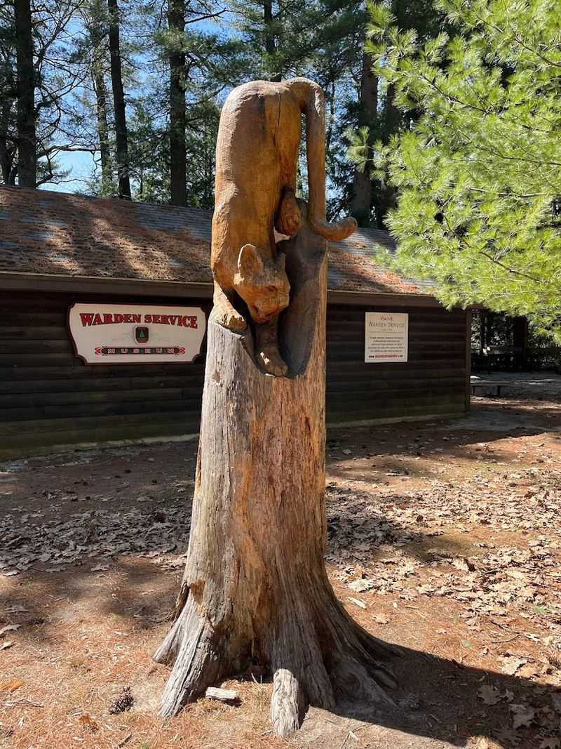 This Is More Than A Typical Zoo