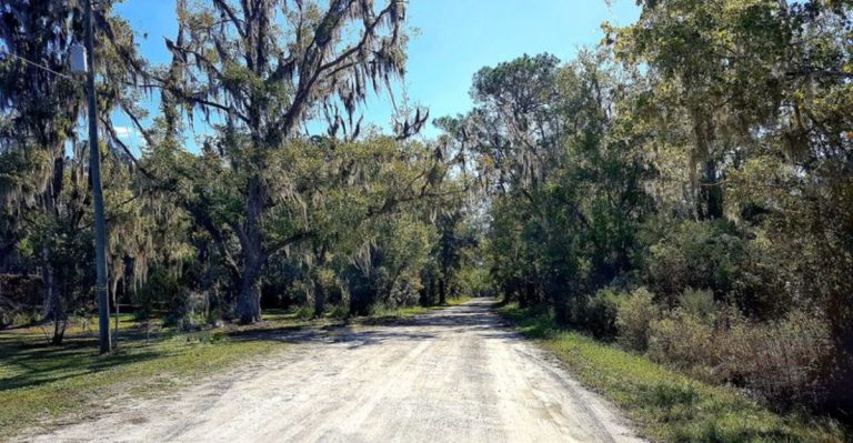 This Is One Of Florida’s Oldest Roads And It Still Feels Dangerous Today
