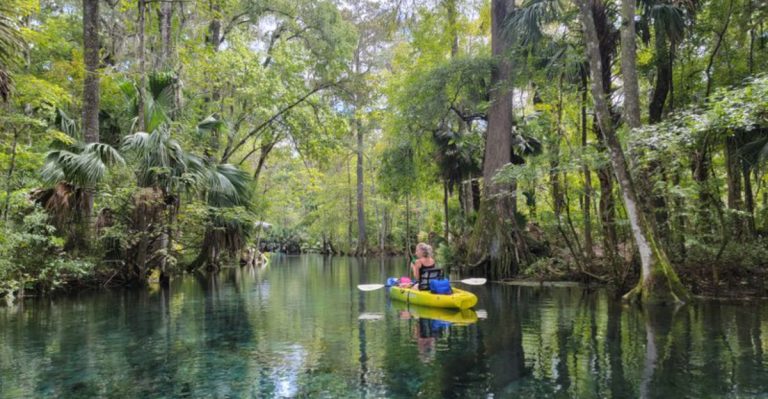 This Is The Only Place In Florida Where You Can See Wild Monkeys