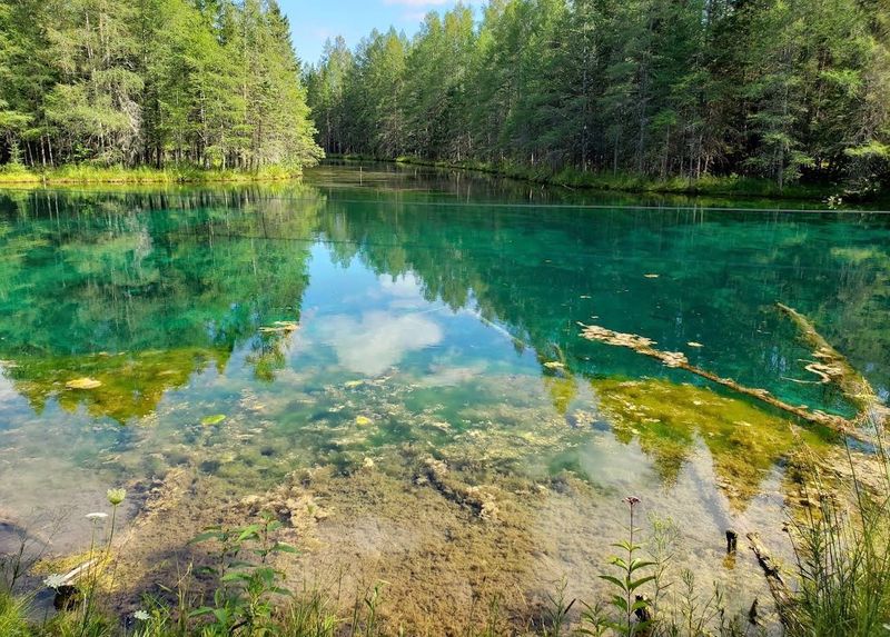 Arrive Early For Sunlit Clarity