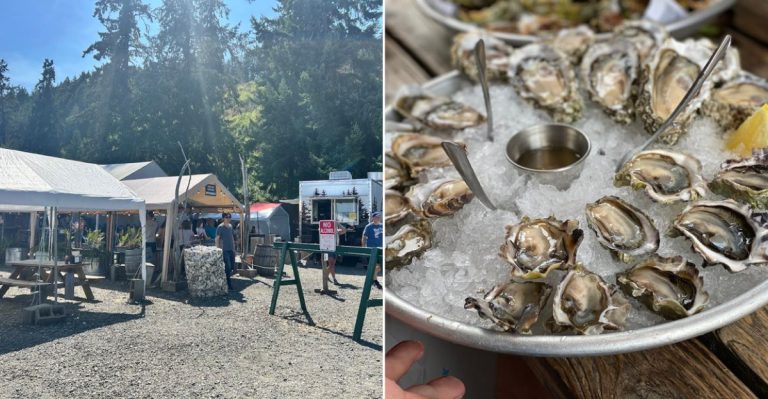 This Is The Spot For Fresh Oysters And Unforgettable Views On The Washington Coast