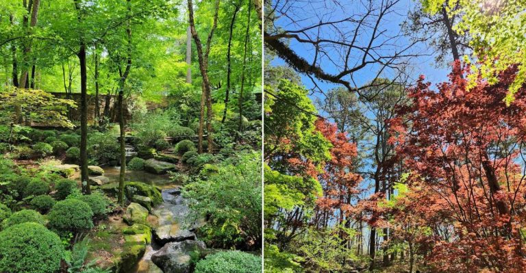 This Is The Stunning Botanical Garden In Arkansas That Most People Never Hear About