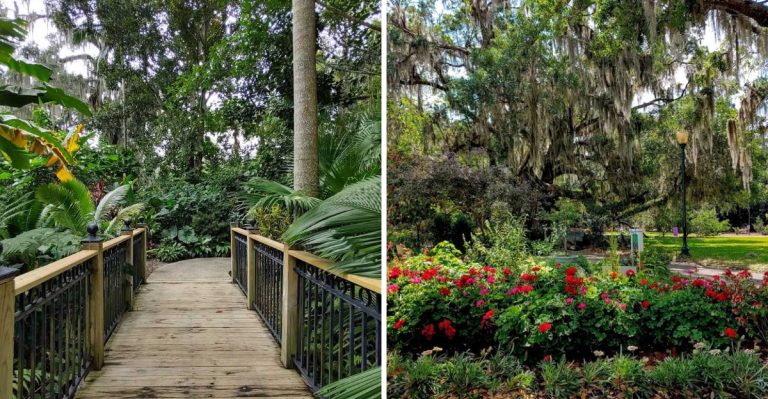 This Is The Stunning Botanical Garden In Florida That Most People Never Hear About