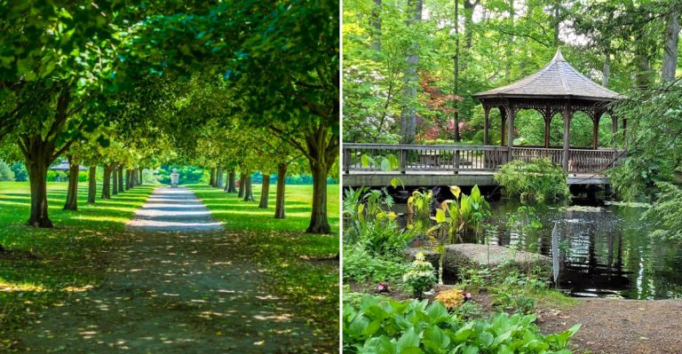 This Is The Stunning Botanical Garden In Ohio That Most People Just Pass By (Which Is A Shame)