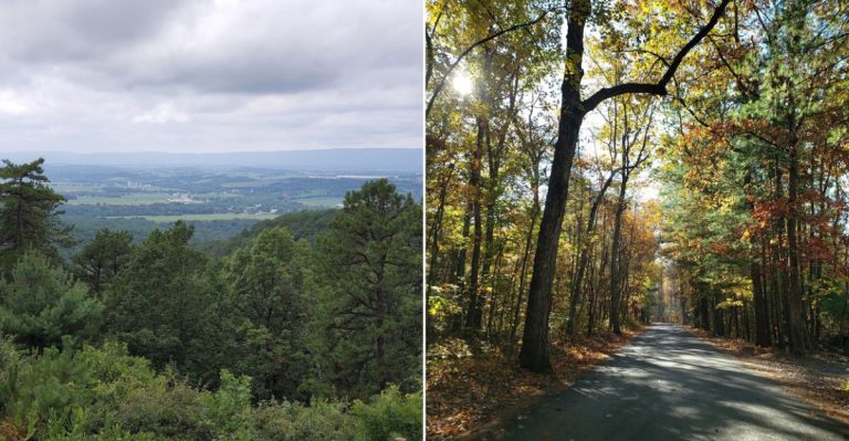 This Isolated Pennsylvania Trail Is Famous For Its Summer Snake Sightings